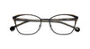 AMMA