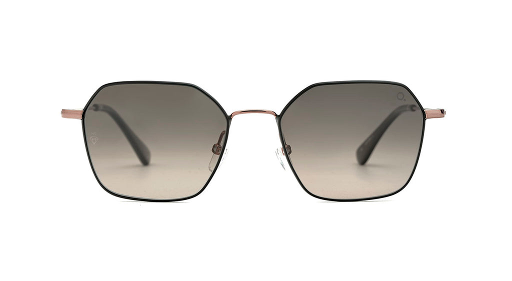 HUDSON SUN