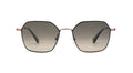 HUDSON SUN